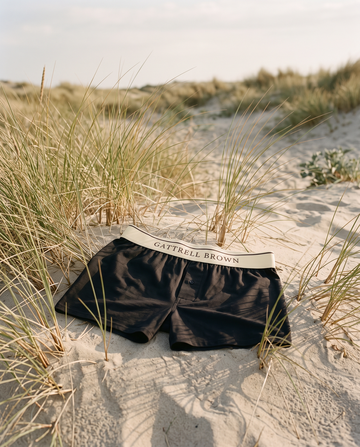 Black Signature Boxer in marram grass on a sand dune